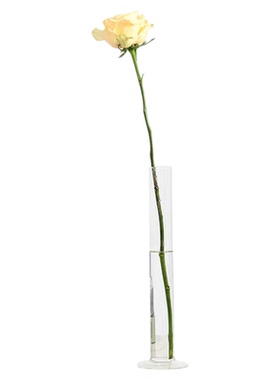 试管花瓶ins轻奢高级感