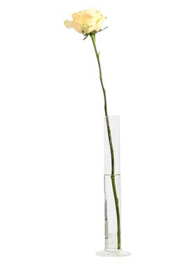 试管花瓶ins轻奢高级感