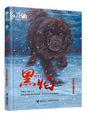 黑焰动物小说精品系列三四五六年