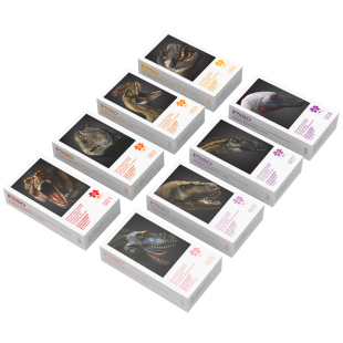 PNSO霸王龙家族多款恐龙双面拼图旅行家系列