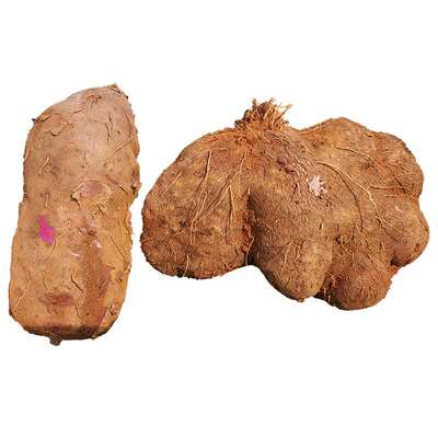 鲜尚舞海南大薯脚板薯粉糯新鲜