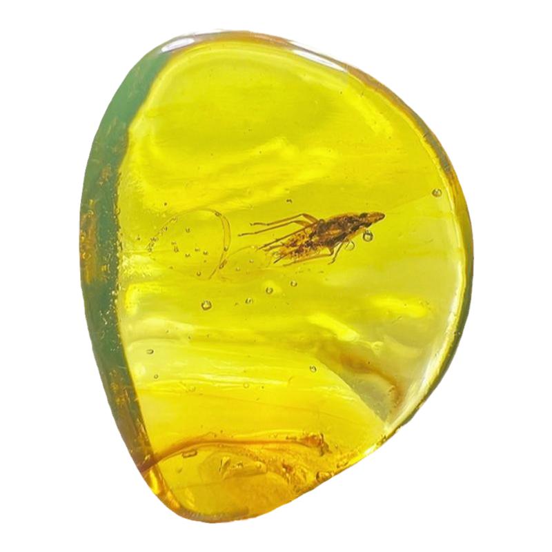 天然琥珀蜜蜡象鼻蝉虫珀化石吊坠