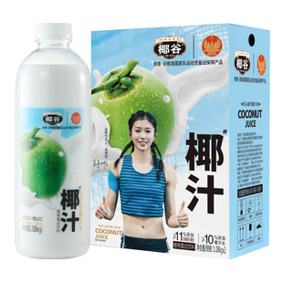 白小楠丨椰谷鲜椰汁新鲜椰肉生榨椰子汁大瓶椰奶果汁植物蛋白饮料