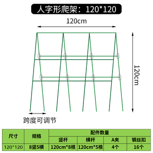 新阳台菜园种菜蔬菜爬藤架子豆角架杆黄瓜支架支撑杆攀爬架园艺促