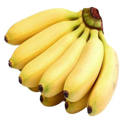 蜜的味道皇帝蕉帝皇小香蕉