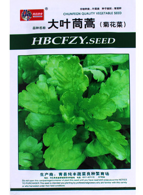 蔬菜种子大叶茼蒿种子庭院籽蓬蒿