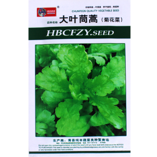 蔬菜种子大叶茼蒿种子阳台庭院盆栽 阳台菜籽茼蒿菜种蓬蒿籽四季