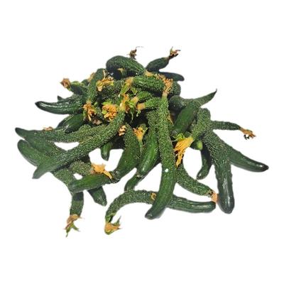 小黄瓜新鲜迷你拇指腌制酱瓜专用