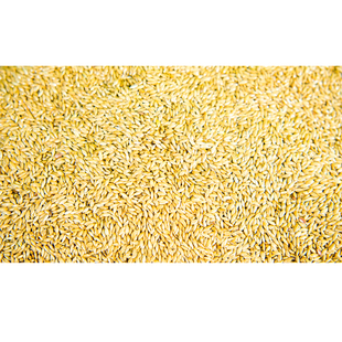 鹦鹉加纳利子鸟食饲料虎皮牡丹玄凤鸟粮黄谷子带壳小米混合粮5斤