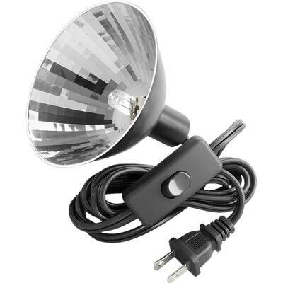 nano爬虫日光乌龟uva全光谱蜥蜴