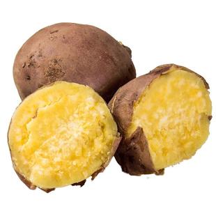 海南澄迈桥头富硒地瓜新鲜沙地红薯现挖板栗番薯糯净重5/9斤包邮