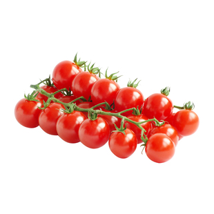 瀑布小番茄种子苗阳台种籽孑四季蔬菜盆栽圣女果菜苗西红柿秧苗春