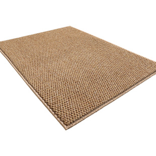 入户门地垫进门门口脚垫2024新款玄关防滑门垫家用垫子仿剑麻地毯