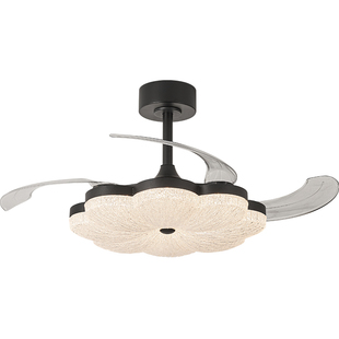 宋式美中国风隐形风扇灯卧室餐厅吸顶吊扇灯书房奶油新中式电风扇