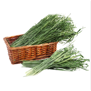 24年绿燕麦草国产澳麦牧草兔子龙猫豚鼠毛重1kg可代替提摩西干草