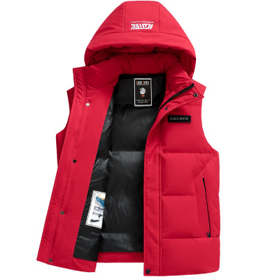 雪中飞连帽可脱卸鹅绒羽绒马甲男