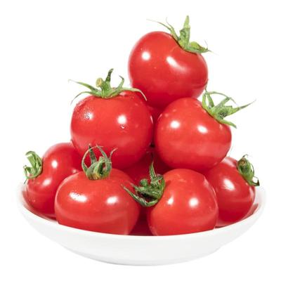 新鲜皮薄汁多樱桃小番茄千禧果