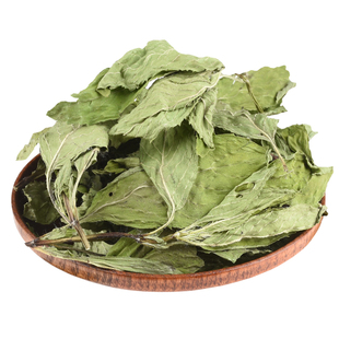 薄荷叶 新鲜薄荷茶 干薄荷叶茶薄荷花茶清凉茶 包邮 500克 包邮