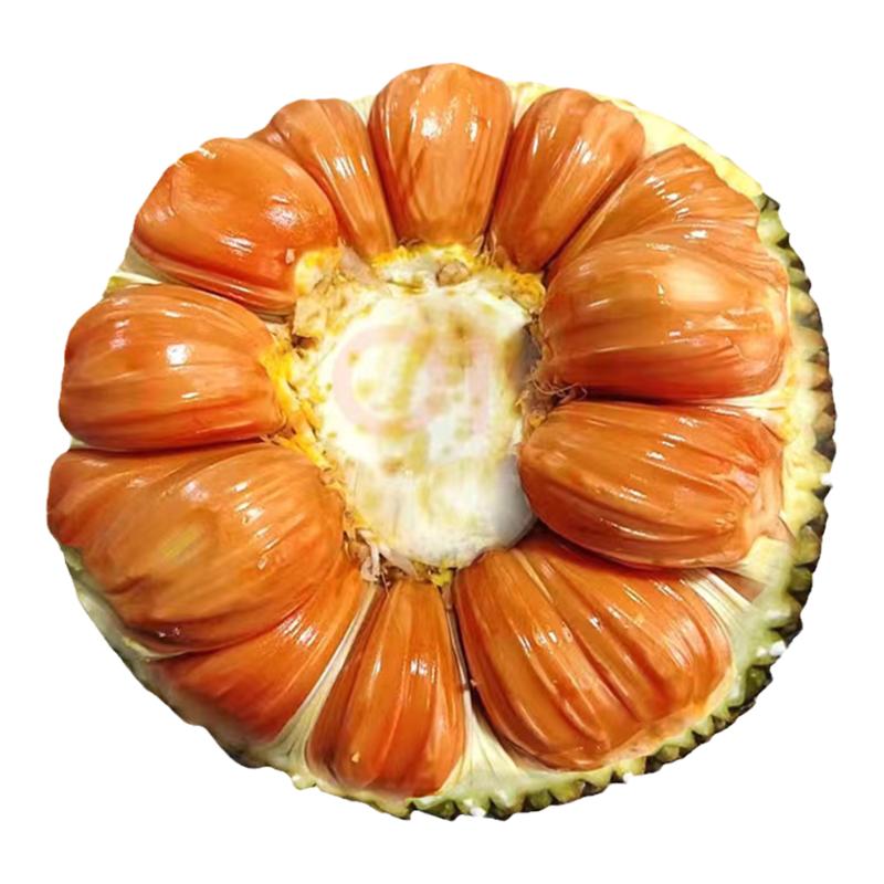 脆甜超红干苞山地老树果菠萝蜜