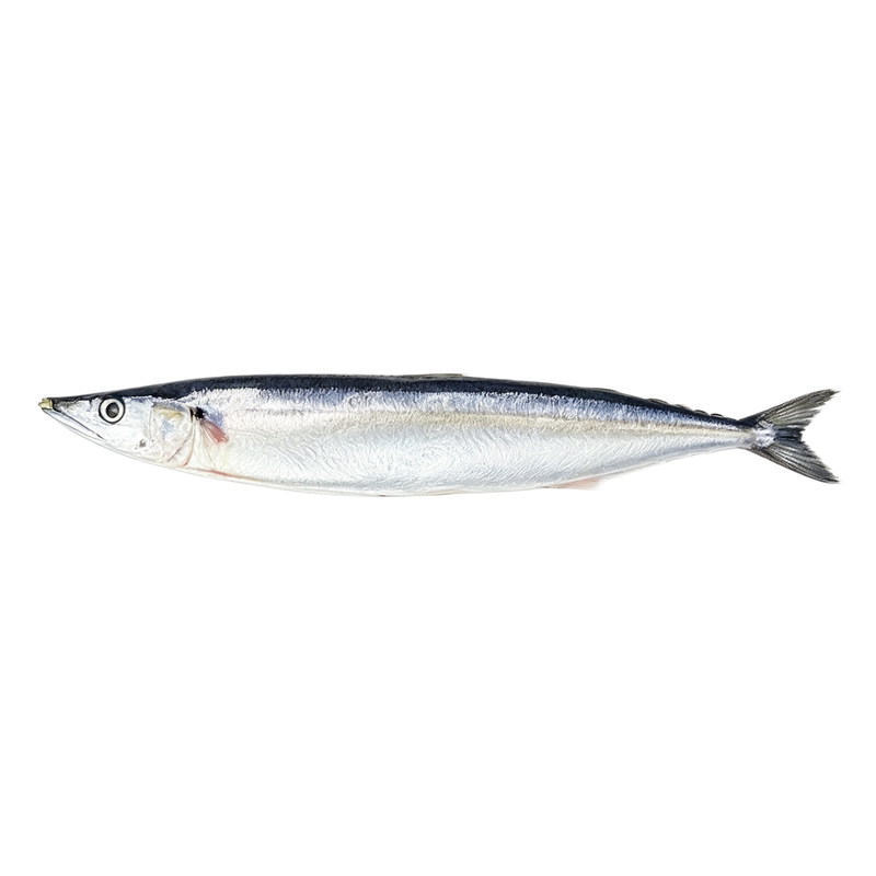 秋刀鱼新鲜冷冻商用整箱特大号烧烤料理海鲜水产鲜活深海鱼4斤装