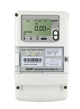 威胜电表林洋电表三相380V4G远程