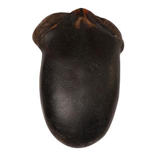 老谷头马鹿尾40克整只干壮鹿尾巴搭鹿茸鹿鞭泡酒产自吉林梅花鹿乡