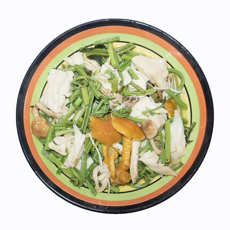 东北森源野菜森林小炒蘑菇绿蕨菜