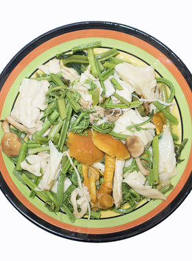 东北森源野菜森林小炒蘑菇绿蕨菜