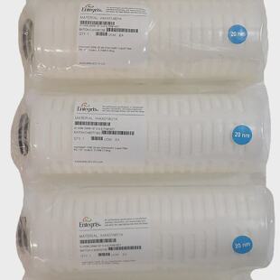 Entegris IHAX01M01K HSM 20 纳米 Chemlock 10 英寸液体过滤器经