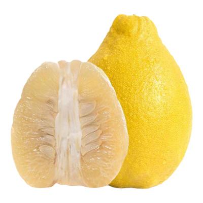 正宗广西容县沙田柚包邮