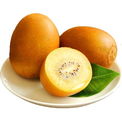 现货黄心猕猴桃精美礼盒特大果