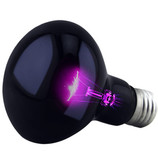 爬虫夜灯 爬宠UVA加热灯陆龟蜥蜴箱守宫变色龙月光灯保温灯陶瓷灯