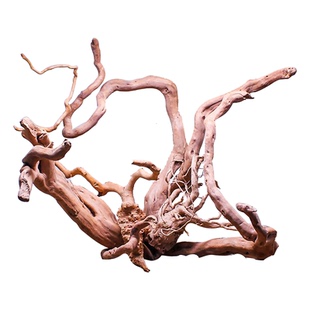 杜鹃根造景沉木鱼缸草缸装饰造型枝条大型树桩天然树根木头莫斯树