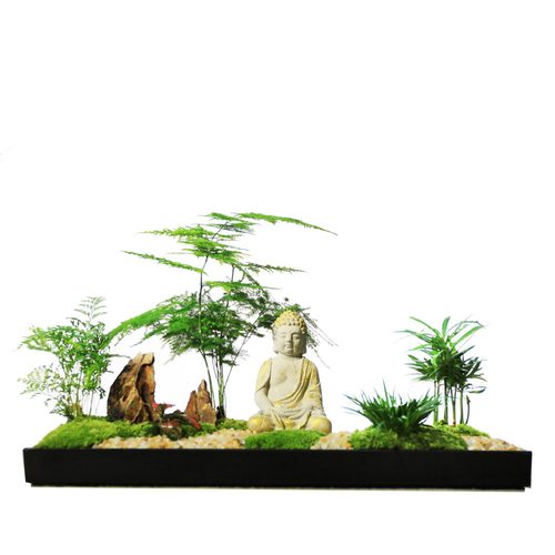 花雨听禅中式枯山水盆景组合盆栽文竹苔藓微景观菖蒲微型禅意茶室