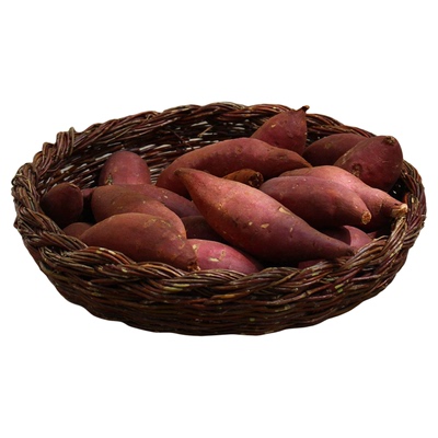 日引品种高端很惊艳的玛莎莉甜薯