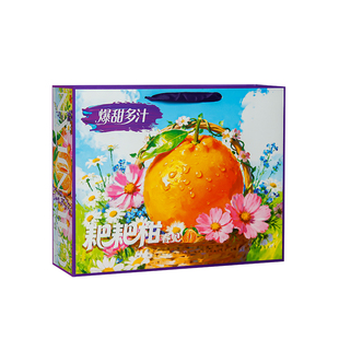 春见耙耙柑礼盒包装盒空盒12个装粑粑柑丑橘子手提礼品盒纸箱定制