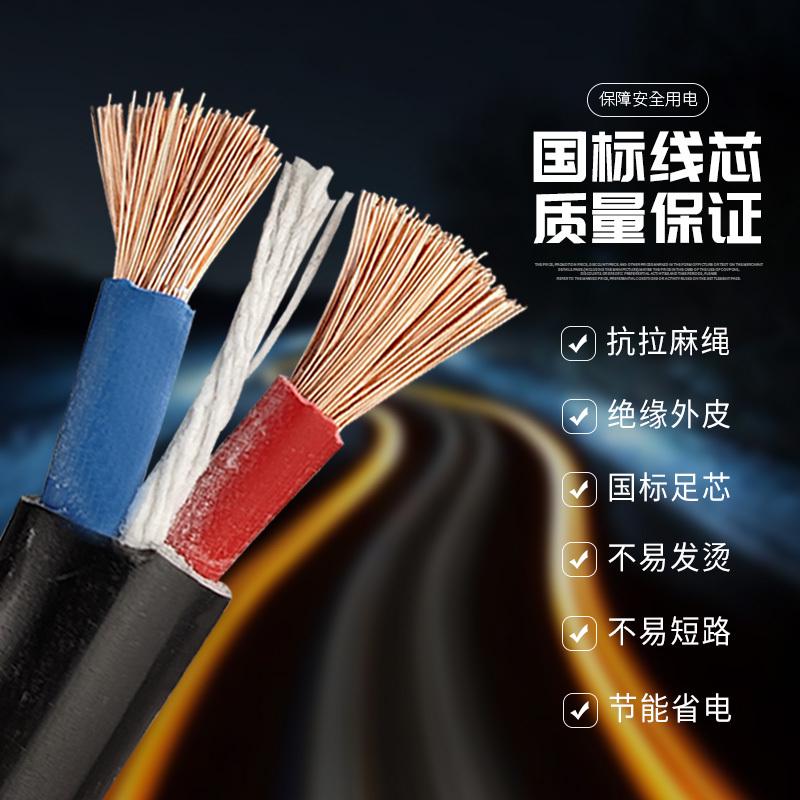 软电线2芯1.5/2.5/4平方RVV带插头电源家用大功率电缆线国标线径