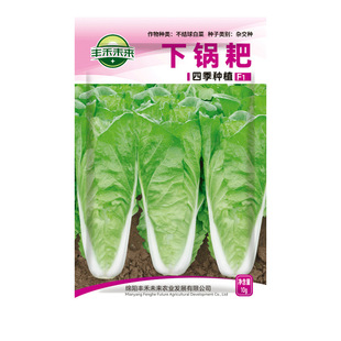 下锅耙四季奶油快菜种子速生快菜小白菜青菜种籽耐寒蔬菜种子大全