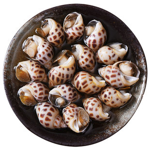 壹虎大叔 醉东方螺 醉花螺 醉香螺 海猪螺 南风螺 腌制海鲜即食