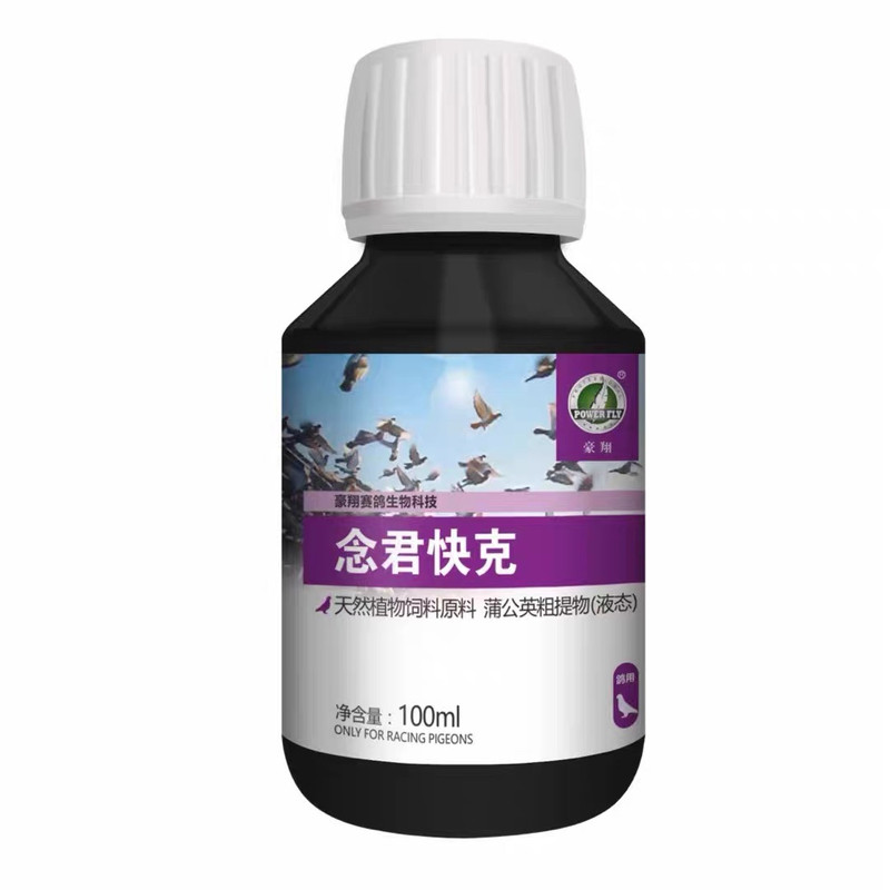 鹦鹉鸽子繁殖期日常护理辅助保健