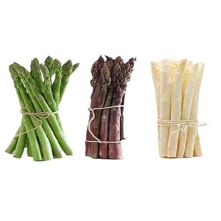 芦笋苗芦笋种根紫色芦笋苗根三年芦笋根四季多年生阳台盆栽蔬菜苗