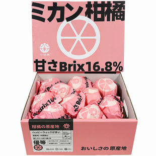 寸金地春见耙耙柑礼盒装大果 清甜多汁新鲜丑八怪蜜橘顺丰包邮