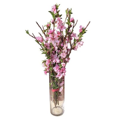 桃花枝泡水新鲜装饰遇水开花