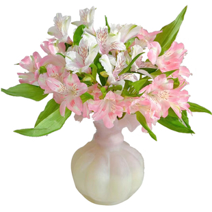 【精选】新鲜水仙百合六出花六初鲜切花真花室内水养插花基地直发