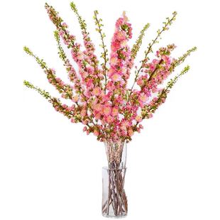 婉芳珍珠李樱花雪柳鲜枝龙柳室内好养水培植物水养桃花枝梅花开花