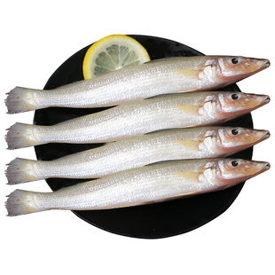 沙丁鱼深海鱼新鲜冷冻小银鱼鲜活海鲜水产烧烤食材面条鱼无小刺