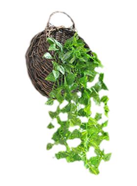 仿真藤条植物吊兰绿叶金钟柳挂墙
