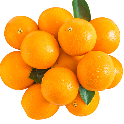 【赣州特产】江西赣南脐橙新鲜水果产地直发果肉饱满果园现采橙子