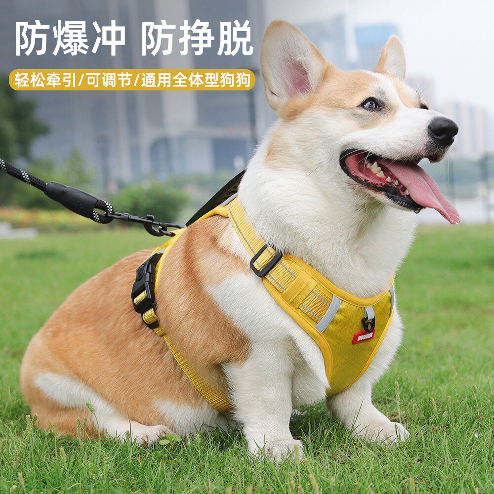 宠物胸背带舒适遛狗绳大狗柯基泰迪中型犬耐用背心式防爆冲通用