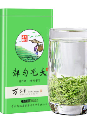 毛尖绿茶贵州都匀特级250克盒装